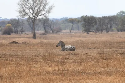 DSC_4054 (Large).JPG